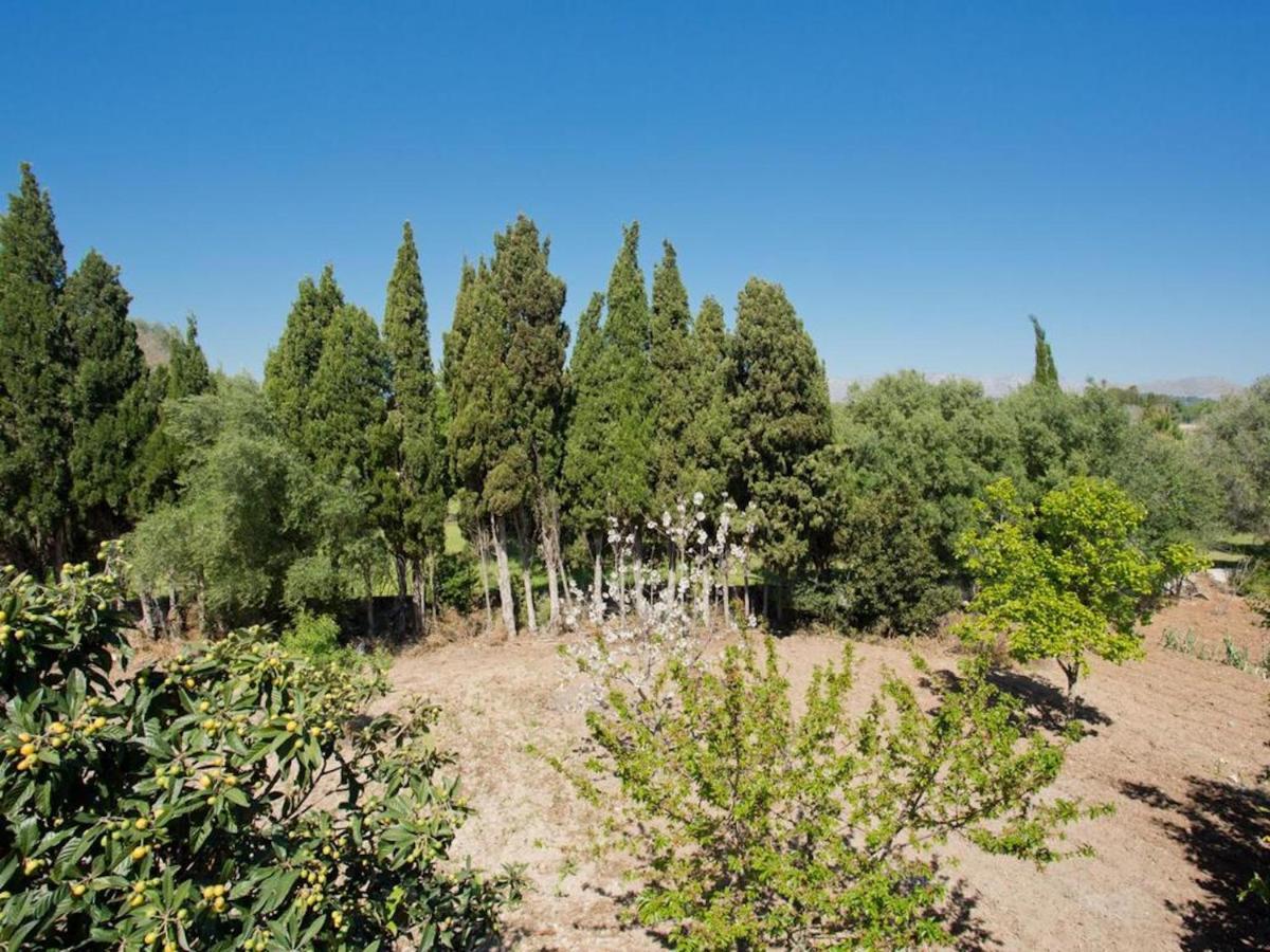 Villa Cifre *